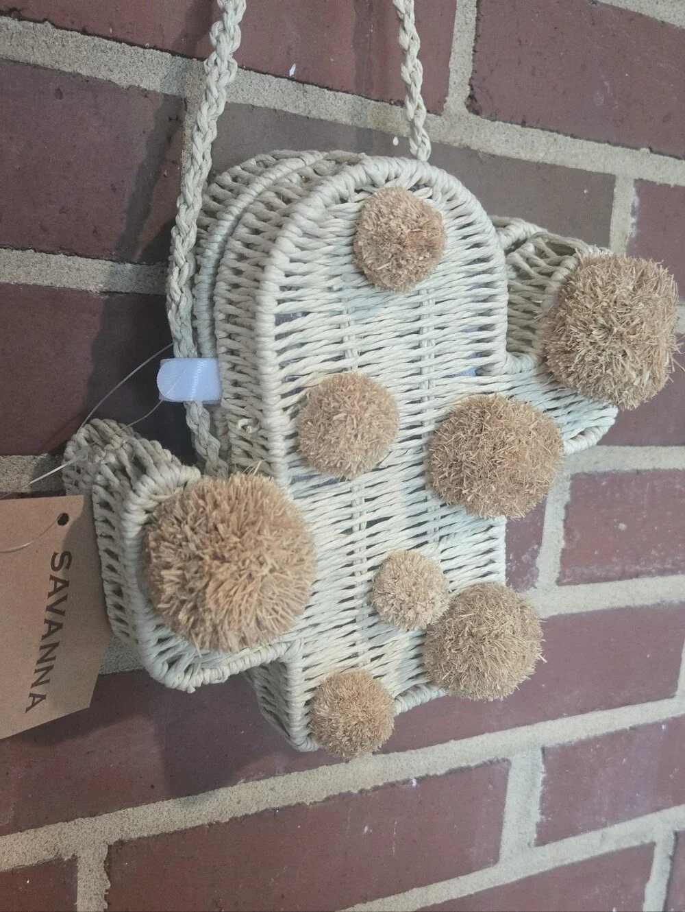 Savanna Anthropologie-Inspired Cactus Woven Crossbody Bag Pom Pom Boho Purse